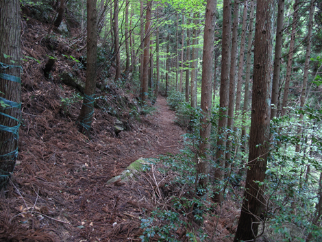 20140502hike (72)